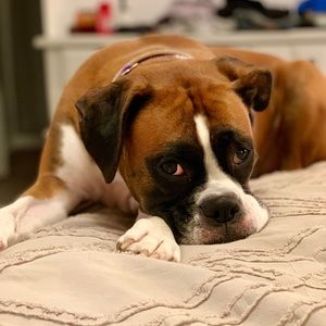 Meet your Posher, Andrew